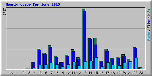 Hourly usage for June 2025