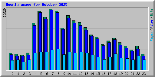 Hourly usage for October 2025